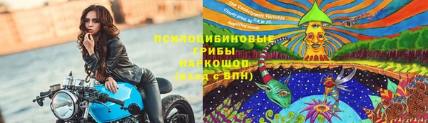 mdpv Белокуриха